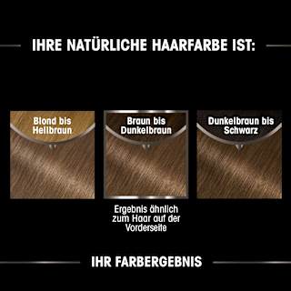 Haarfarbe 6.0 Hellbraun GARNIER olia