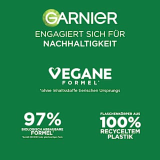Reinigungsschaum Salicylic Cleanser Garnier Skin Active