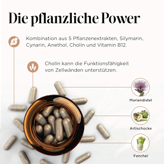 Leber Bitter Edition Kapseln 60 St get your well being BY BIOGENA