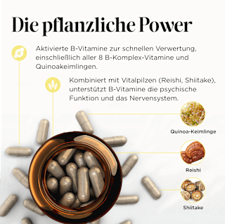 Vitamin B Nerven Edition Kapseln 60 St get your well being BY BIOGENA