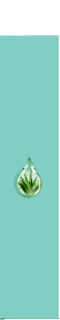 Rasierklingen, Pro Smooth Sensitive Gillette Venus