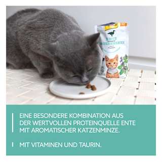 Katzenleckerli mit Ente & Katzenminze, Crunchy Snack GimCat