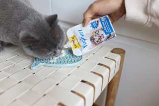 Nahrungsergänzung Katze, Joghurt  GimCat