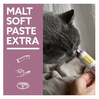 Nahrungsergänzung Katze, Malt-Soft-Paste Extra GimCat