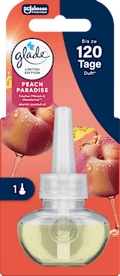 Lufterfrischer Duftstecker Peach Paradise Nachfüllpack glade