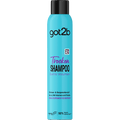 Trockenshampoo Extra Volumen got2b