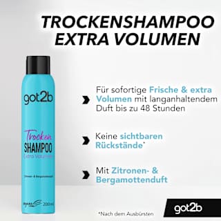 Trockenshampoo Extra Volumen got2b
