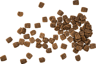 Trockenfutter Hund mit Insekten, hypoallergen Green Petfood