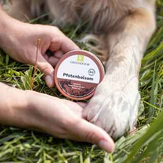 Pfotenbalsam für Hund & Katze Greendoor
