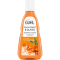 Shampoo Feuchtigkeitsaufbau GUHL