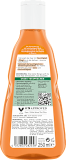 Shampoo Feuchtigkeitsaufbau GUHL