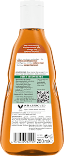 Shampoo Intensiv Kräftigung GUHL