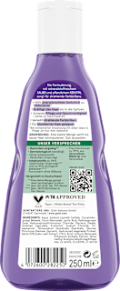 Shampoo Silberglanz & Pflege GUHL