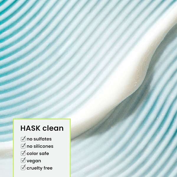 Haarkur Argan Oil, Sachet HASK