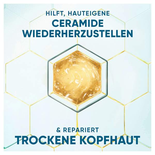 Shampoo Derma x Pro Beruhigende Pflege head&shoulders