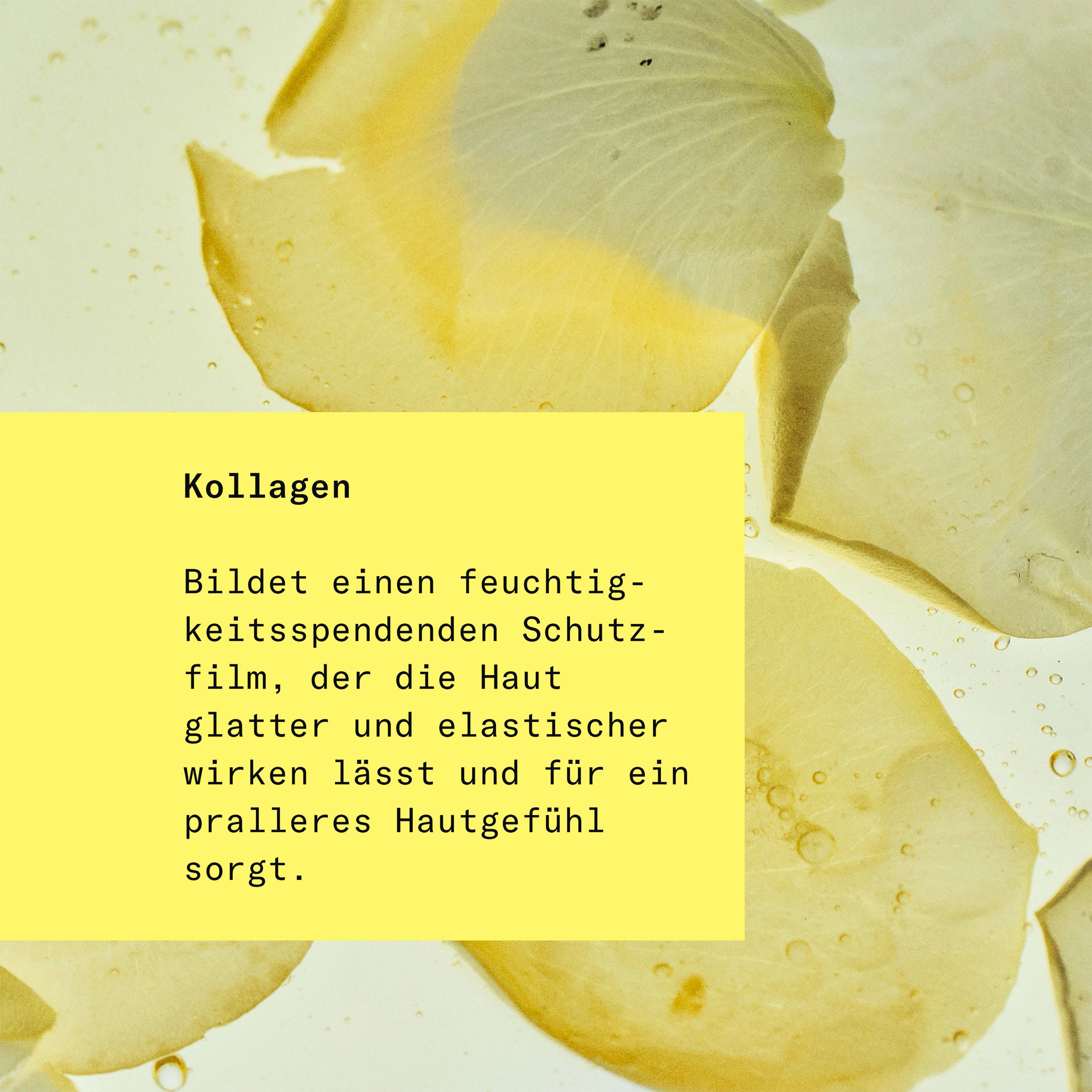 hej ORGANIC None Media 5