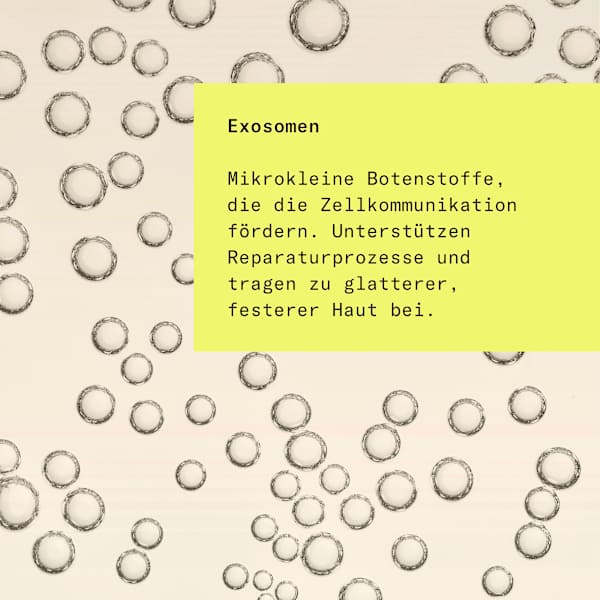 Gesichtsserum Firming Retinal hej ORGANIC