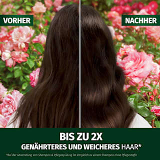 Conditioner Blütensanft Rosenduft Herbal Essences