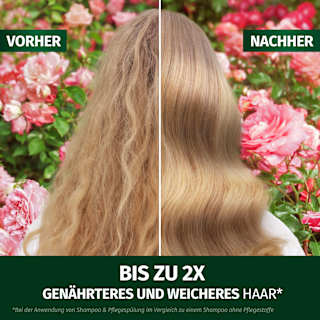 Shampoo Blütensanft Rosenduft  Herbal Essences