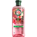 Shampoo Blütensanft Rosenduft  Herbal Essences