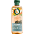 Shampoo Dolce Vita Herbal Essences