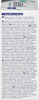 Fixierhosen Inkontinenz Gr. M/L Jessa DISKRET