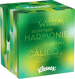 Taschentücher Box Kleenex