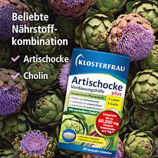 Artischocke Verdaungshilfe plus Tabletten 30 St KLOSTERFRAU