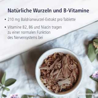 Baldrian 1200, Tabletten KLOSTERFRAU