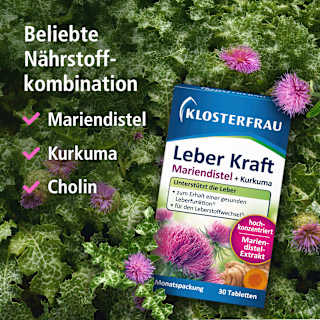 Leber Kraft Tabletten 30 St KLOSTERFRAU