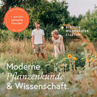 Kraft Wildkräuter-Shot kruut