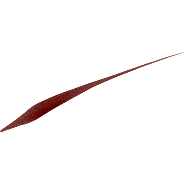 Eyeliner Perfect Slim 03 Brown L'ORÉAL PARiS