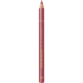 Lipliner Color Riche 302 Bois De Rose L'ORÉAL PARiS