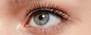 Mascara False Lash Black L'ORÉAL PARiS