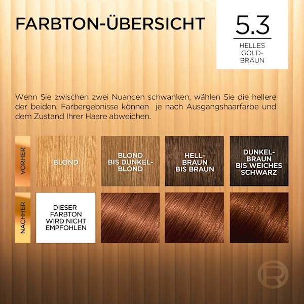 Haarfarbe 5.3 Helles Goldbraun L'ORÉAL PARiS PRÉFÉRENCE