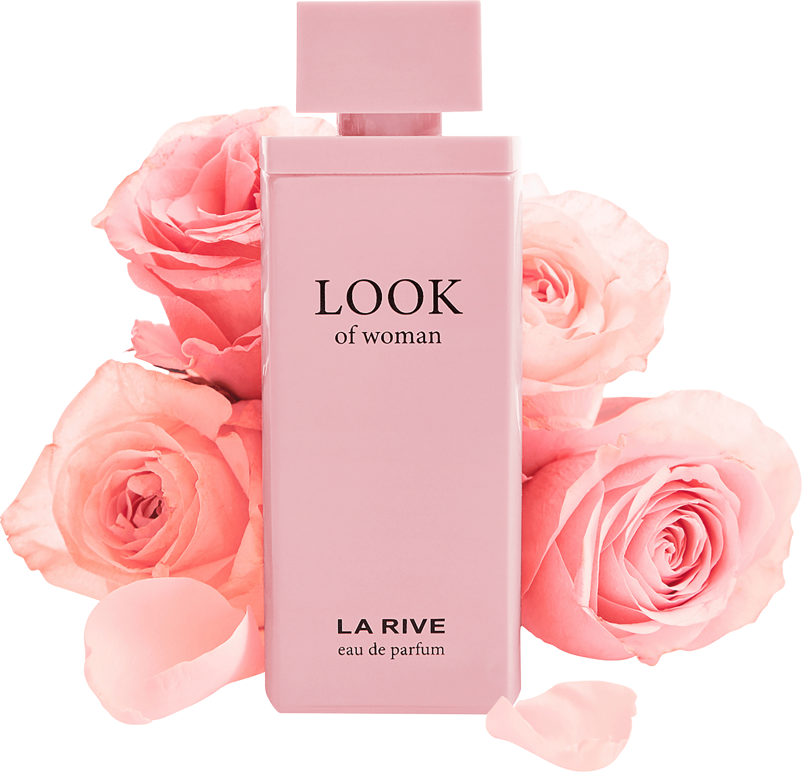 LA RIVE None Media 10