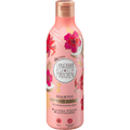 Shampoo Intense Repair LANGHAARMÄDCHEN