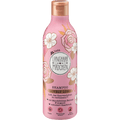Shampoo Lovely Long LANGHAARMÄDCHEN