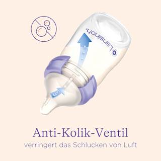Trinksauger Natural Wave Gr. L, ab 6 Monaten Lansinoh