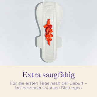 Wochenbett Einlagen Gr. L Lansinoh
