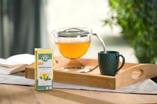 Kräutertee Pfefferminze (20 Beutel) LEBENSBAUM