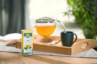 Kräutertee Tulsi (20 Beutel) LEBENSBAUM