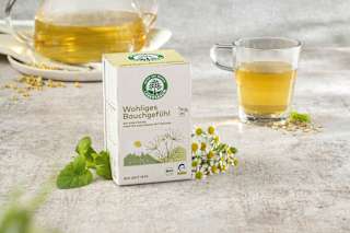 Kräutertee "Wohliges Bauchgefühl" (20 Beutel) LEBENSBAUM