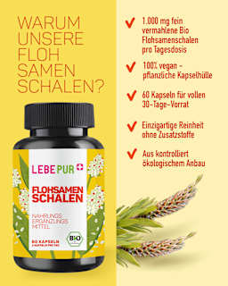Bio Flohsamenschalen Kapseln 60 St Lebepur