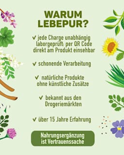 Shilajit Kapseln 60 St Lebepur