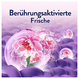 Weichspüler Amethyst Blütentraum 87WL Lenor