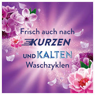 Weichspüler Amethyst Blütentraum 87WL Lenor