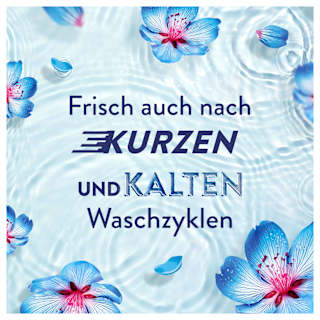 Weichspüler Aprilfrisch 42WL Lenor