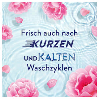 Weichspüler Frühlingsgarten 42WL Lenor