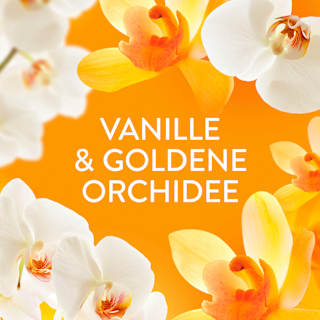 Weichspüler Goldene Orchidee 42WL Lenor